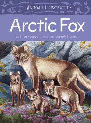 Animals Illustrated Arctic Fox