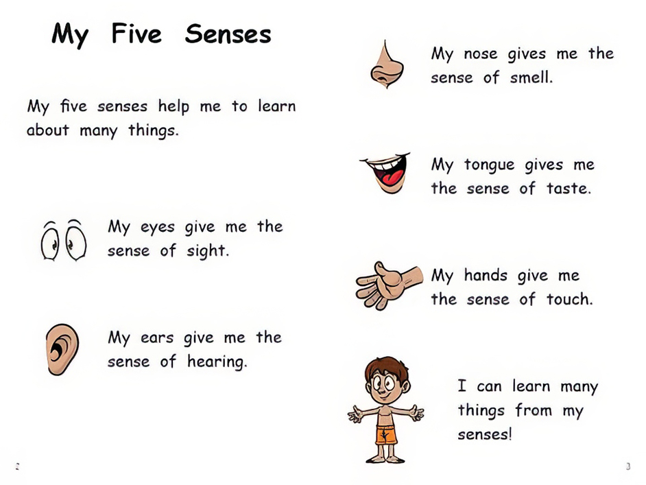 Strong Readers Set B My Five Senses L12 2013 Indigenous First 