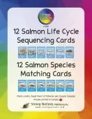 Strong Learners Memory Matching and Life Cycle Cards Salmon