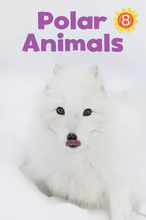 Polar Animals - Nunavummi Reading Series