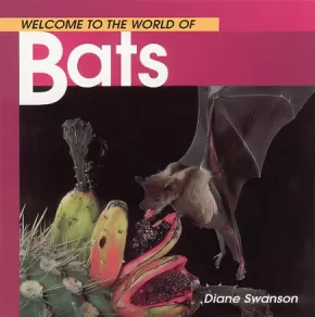 Welcome to the World of Bats 7 in Stock
