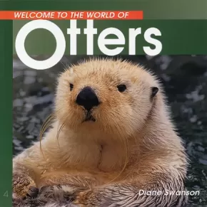 Welcome to the World of Otters 3 in Stock