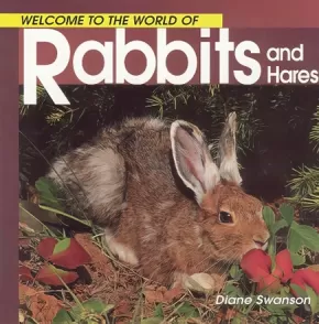 Welcome to the World of Rabbits and Hares 4 in Stock