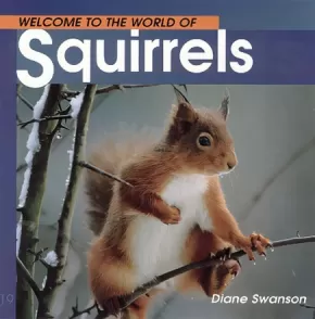 Welcome to the World of Squirrels 5 in Stock
