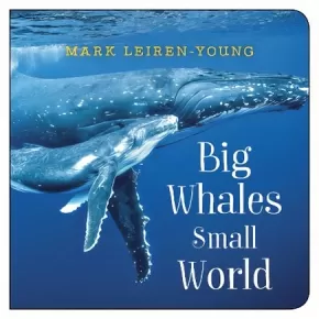 Big Whales Small World BB